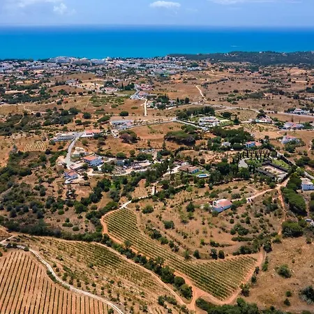 Βίλα Charming House In A Vineyard Near The