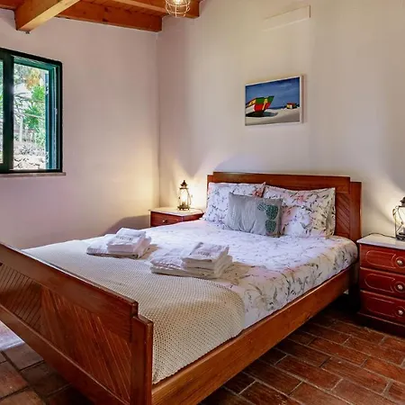 Charming House In A Vineyard Near The Vila Porches (Algarve)